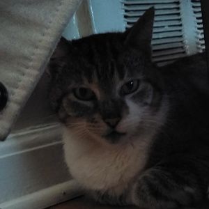 Meet your Posher, Sierra